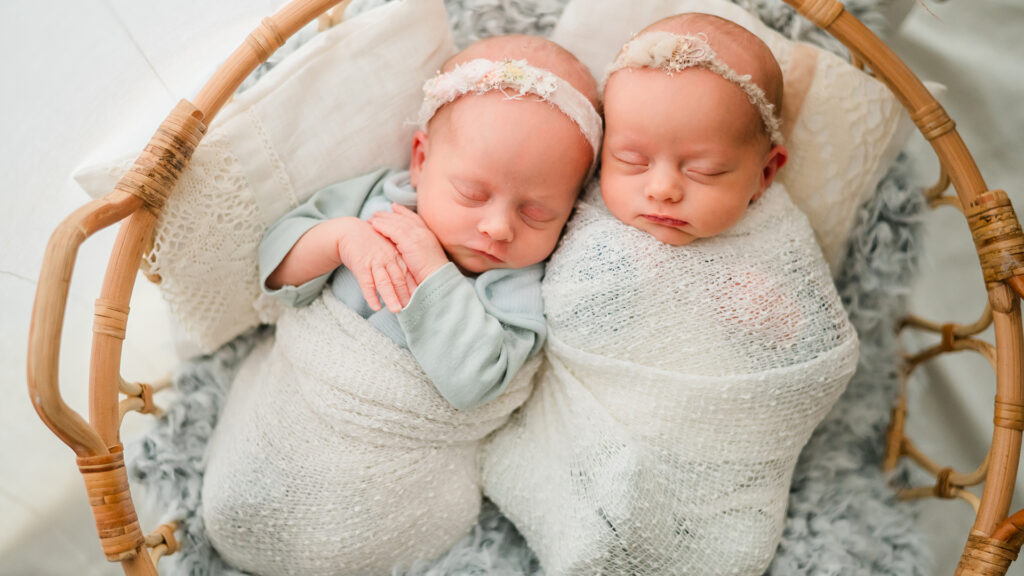Zwillinge im Körbchen